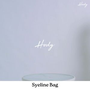 Hody Bag Official - Tas Selempang Wanita Sling Bag Handbag Tote Bag Tas Jinjing Wanita Tas Slempang Wanita Terbaru 2025 Tas Cewek Korean Style - Syeline Bag
