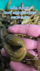 DƯA LEO MUỐI NGUYÊN TRÁI-Nhà làm- Chay mặn đều dùng được- Đặc Sản Minh Triết