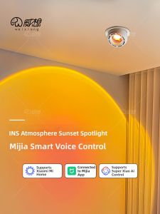 WEIXIANG | Smart Voice Sunset Glow Wall Washing Atmosphere Light