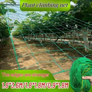 Durable Plant Support Net Garden Green Nylon Trellis Netting Climbing Bean Plant Nets Grow Mesh