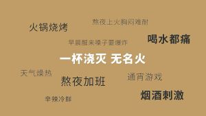 [SG READY STOCK] Honeysuckle & Chrysanthemum Tea/DetoxifySoothe ThroatRelieve Heat(250g/50BAG)金银花菊花茶 三角包 菊花枸杞甘草茶金银花胎菊茶