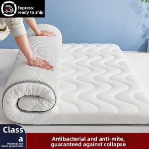 JIFANPAUL | Single Student Dormitory Tatami Sponge Pad Four Seasons
