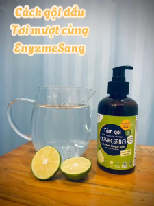 Enzyme Sang Dầu gội đầu thảo dược Lên men từ quả bưởi Làm sạch da đầu hiệu quả Dưỡng tóc óng mượt Chai 250ml Koshka Home