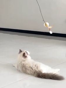 Mainan Kucing Bulu Penggoda Mainan Tongkat Interaktif Cat Teaser Premium Mainan Lonceng Stick