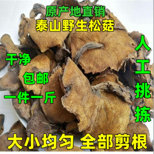  Wild Mushroom Speciality Shandong Dry Mushroom Chicken Stew Mushrooms Artemisia Mushrooms Pinus Mushroom Root Trimmed