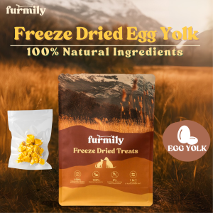 Furmily Pet Egg Yolk Freeze Dried Egg Yolk 100% Natural Ingredients