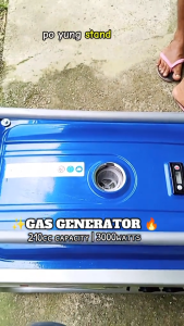 REAIM Gasoline Generator - 950W-4000W 4-Stroke Portable Silent Power Generator for Home & Outdoor (220V/60Hz)