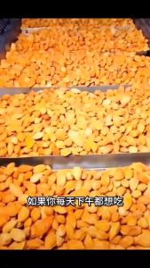Cooked Sunflower Nuts  (10 Packets) Cooked Almond Nuts  Snacks Delicious Treats