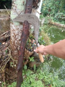 BAJA ASLI CONGKRANG SUPER PANGKAS RUMPUT