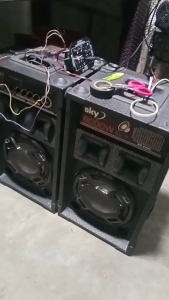 AC 220V 12V 24V Subwoofer Dual Microphone HiFi Bass Power Amp FM Radio Stereo Digital Bluetooth 5.0