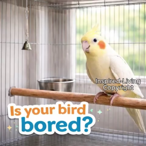 Bird Toy | Parrot Toy Sets – Climbing Chew Toys Foraging Cuttle Fish bone | Lovebird Conure Cockatiel