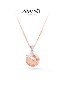 Meteorite S925 Silver Modern Talisman Necklace