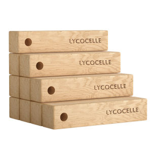 LYCOCELLE | Deodorizing Anti-Mold Anti-Insect Protection Cinnamon Wood Sticks