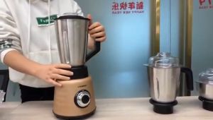 Stargold Stainless steel blender (SG-1366) 3 in 1 Mixer Grinder 600W juicer Maker