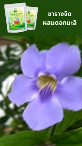 ชารางจืดผสมดอกมะลิ ชาสมุนไพร ตราไร่กฤติยา สูตร 9