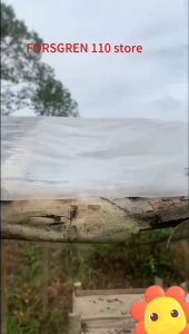 (free shipping)UV plastic sheet 250 microns/ uv plastic greenhouse roofing10ft x 30meter GREEN HOUSE/ HYDROPONICS / FARM / SHADE /Construction