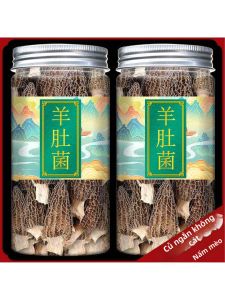 Nấm Morel Đặc Biệt Không Rừng 500g