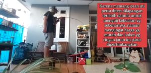 [TERMURAH COD] TaffSPORT Conquest Joran Pancing Carbon Fiber Telescopic 2 Segments 1.8M / Joran Pancing CASTING / Alat Memancing / Aksesoris Memancing - TM0156 - Black