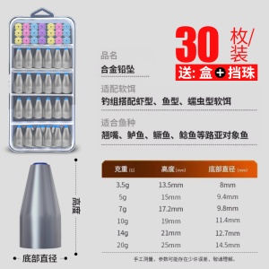 Lure Alloy Bullet Weights Plastic Core Fishing Sinkers for Carp Teasing Hollow Lead Lure Baitcasting Fishing Gear Outdoor