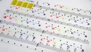 88/61/54/49-key Piano Keyboard Stickers Transparent Detachable Music Decal Notes Piano Keyboard Stickers Piano Keyboard Stickers 37key/49key/61 Keyor 88-key Electronic Piano Spectrum Sticker Symbol Transparent Detachable Music Decal Notes