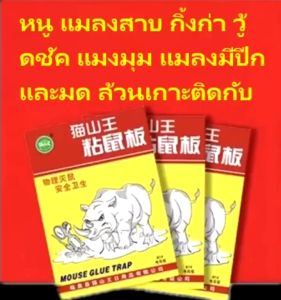 20 แผ่น ง่าย กาว ดักหนู กาวหนูมืออาชีพยี่ ห้อเก่า 30 ปี กาวดักหนู ปลอดสารพิษและปลอดภัย กาวดักหนู สำหรับการใช้ง่าย
