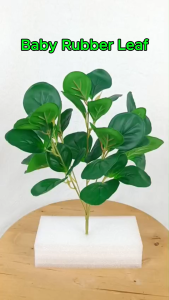 Premium Baby Rubber Leaf 35cm / Peperomia Plant Dou Ban Leaves Daun Silver Dollar Money Leaves High Quality Green Plant Leaves Plastic Home Decoration Wedding Hand Bouquet