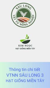 gói tầm 100 hạt giống BẦU SAO LAI F1 ALL STAR  an phú nông trái rất rộ