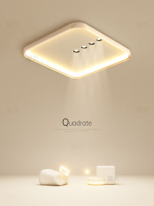 Modern LED Ceiling Light