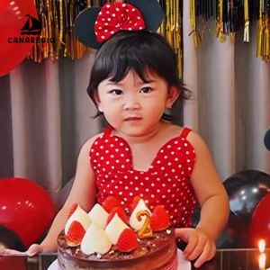 Baju Anak Kostum Tema Mickey Mouse & Baju Princess Anak Perempuan by Canaregio Kids