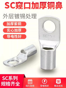 Thickened Purple Copper Terminal Clamps Inspection Hole Copper Noses Electrical Accessories RoHS Certified European Wiring