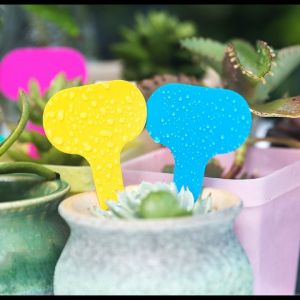 ป้ายเขียนชื่อพันธุ์ ป้ายชื่อต้นไม้เสียบกระถาง ขนาด5x7ซม. ป้ายปัก ป้ายเขียนชื่อต้นไม้ 100ชิ้น