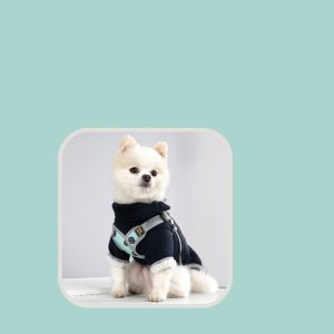 Dog Harness with LED Light 4 Buckles Adjustable | Breathable Cotton Soft and Padded | Cute Designs | Small Medium Large Dogs