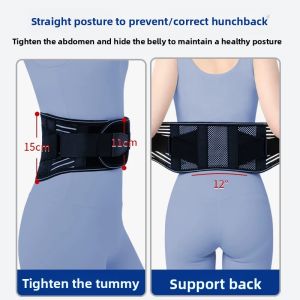 MONLEYTA | Medical Grade Breathable Waist Support Belt For Men And Women Lumbar Support Back Pain Relief Device Ideal For Middle Aged And Elderly