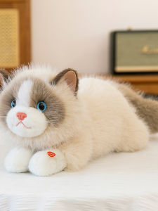 Đồ Chơi Búp Bê Mèo Nhồi Bông Thực Tế Giả Mèo Ngủ Đồ Chơi Búp Bê Dễ Thương Cho Bé Gái Đồ Chơi Chó Cưng Nhồi Bông PP Cotton