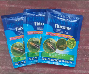 [THIEN THINH SHOP] THIXAMS 35WG gói 100 gram (hoạt chất Thiamethoxam 35%w/w) trừ rầy xanh rệp sáp bọ trĩ rầy phấn trắng trên lúa và rau màu