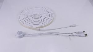 Wireless PIR Motion Sensor COB LED Strip Neon Lights USB 5V Neon Tape Silicone Waterproof Kitchen Cabinet Bed Closet Night Lamps