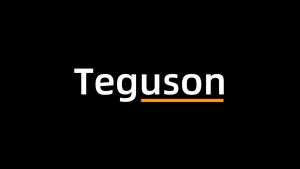 【Teguson】10000mAH Fast Charing Powerbank Tyep-C/Linghtning 2 Head Data Cable power bank Digital Display LED(8003)