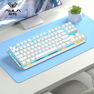 AULA | Side Printed Gaming Mechanical Keyboard Multiple Axes