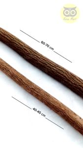 Kicau Mart Tangkringan Kayu Asem Jawa Ukuran Panjang Pangkringan Kaki Untuk Sangkar Kandang Burung Murai Kotak Kacer Anis Branjangan Cucak Lovebird Dll Actapsr