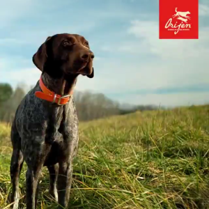 Orijen Dog Food โอริเจน อาหารสุนัข เกรดซุปเปอร์พรีเมี่ยม รวมทุกสูตร ทุกสายพันธุ์ ขนาด 2 กิโลกรัม