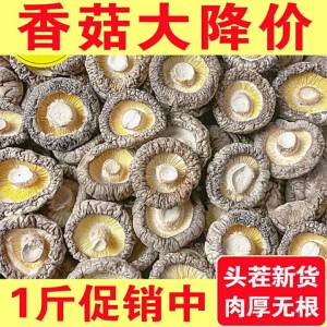 Thick Meat Stemless Dried Shiitake 500g