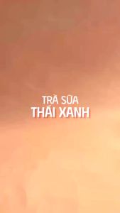 Trà Savo Trà Sữa Thái Đỏ -Thái Xanh nhiều kích cỡ