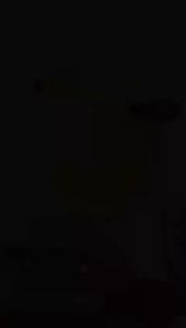 GU Mangkok Set Sendok Tutup Bayi Alat Makan Bayi Silikon Anti Tumpah dan Slip Sensor Panas B04