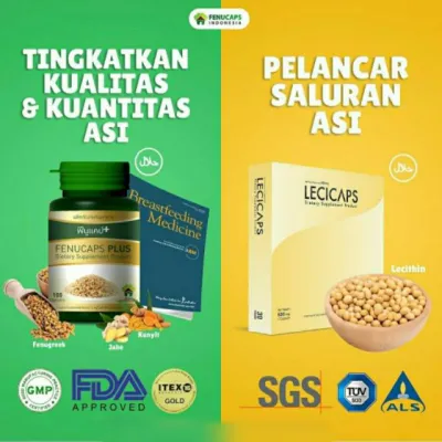 Paket Dosis Harian Asi Booster FENUCAPS+ LECICAPS (Ecer)