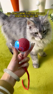 Interactive Cat Toys With Birdsong Smart Automatic Rolling Electric Dog Ball Toy USB Rechargeable