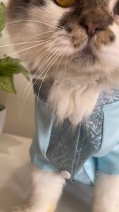 Koko Kucing Spesial Edisi Lebaran 2024 - Baju Muslim Set Koko Dengan Topi Lucu Murah - Pet Shirt - Baju Koko Kucing Bahan Katun Premium Adem Dan Nyaman - Kostum Kemeja Koko Untuk Kucing - Baju Kucing Edisi Lebaran Motif Batik Berkualitas