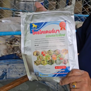 โปรพิเศษ! เปิดร้านใหม่ ไตรโคเดอร์มา เกรดพรีเมียม ผสมจุลินทรีย์กำจัดหนอน แมลง ขนาด 1 กิโลกรัม