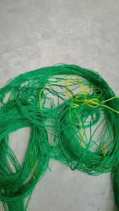 Plant Garden Green Nylon Vegetable Plant Trellis Netting Support Nets Bean Plant Climbing Grow Fence Anti-bird Plant Climbing Net Garden Tool