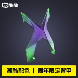 Cool DIY Replaceable Back Armor Professional Esports Chair Special Edition X5 Series Exclusive Home Furniture Chair Accessory