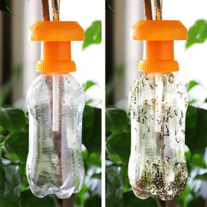 Drosophila Catcher ที่ดักแมลงวันผลไม้นักฆ่าหมวกพลาสติกสีเหลืองสวนผลไม้กันแมลงแมลงการควบคุมที่มีประโยชน์ดึงดูดกับดัก